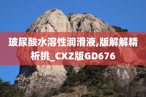 玻尿酸水溶性润滑液,版解解精析挑_CXZ版GD676