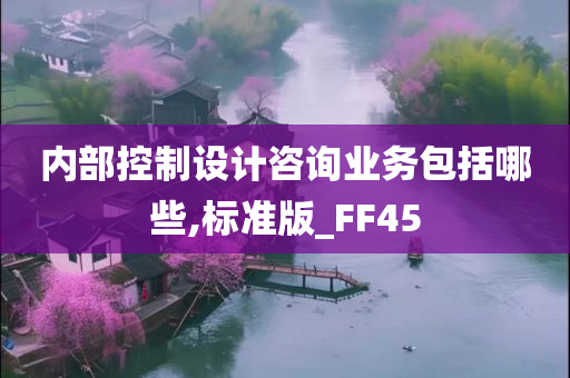 内部控制设计咨询业务包括哪些,标准版_FF45