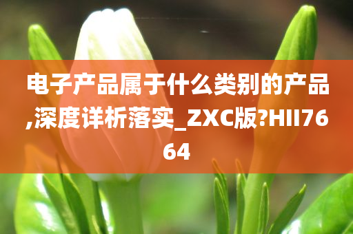 电子产品属于什么类别的产品,深度详析落实_ZXC版?HII7664