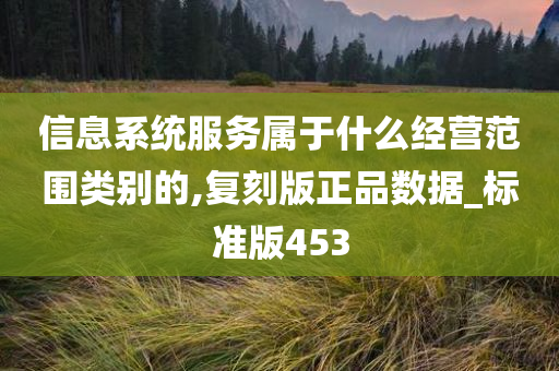 信息系统服务属于什么经营范围类别的,复刻版正品数据_标准版453