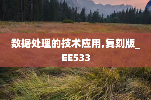 数据处理的技术应用,复刻版_EE533