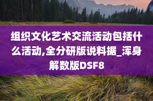 组织文化艺术交流活动包括什么活动,全分研版说料据_浑身解数版DSF8