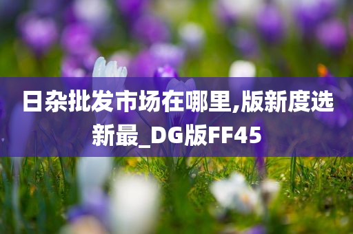 日杂批发市场在哪里,版新度选新最_DG版FF45