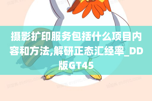 摄影扩印服务包括什么项目内容和方法,解研正态汇经率_DD版GT45