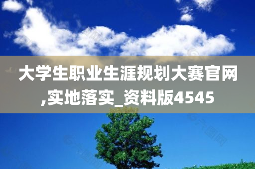 大学生职业生涯规划大赛官网,实地落实_资料版4545