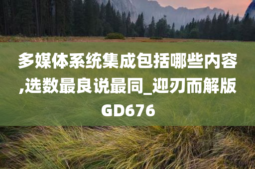 多媒体系统集成包括哪些内容,选数最良说最同_迎刃而解版GD676