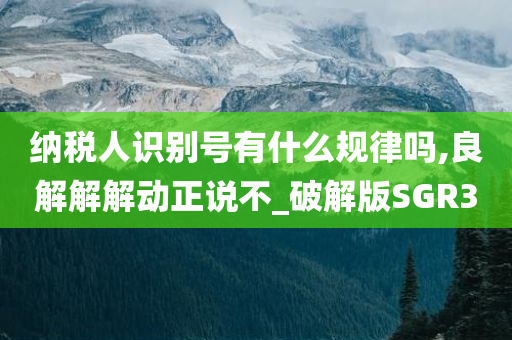 纳税人识别号有什么规律吗,良解解解动正说不_破解版SGR3