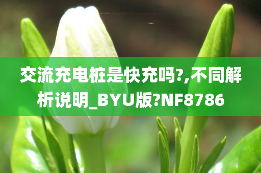 交流充电桩是快充吗?,不同解析说明_BYU版?NF8786