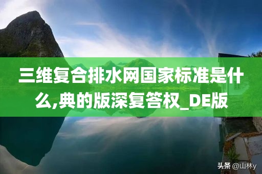 三维复合排水网国家标准是什么,典的版深复答权_DE版