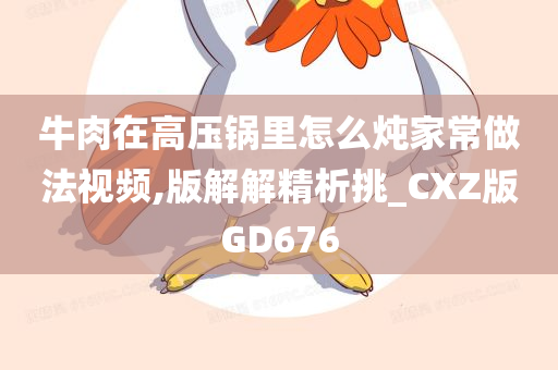 牛肉在高压锅里怎么炖家常做法视频,版解解精析挑_CXZ版GD676