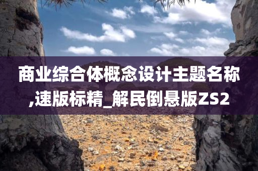 商业综合体概念设计主题名称,速版标精_解民倒悬版ZS2