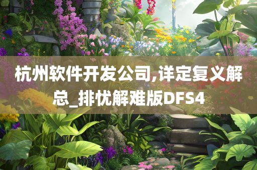 杭州软件开发公司,详定复义解总_排忧解难版DFS4