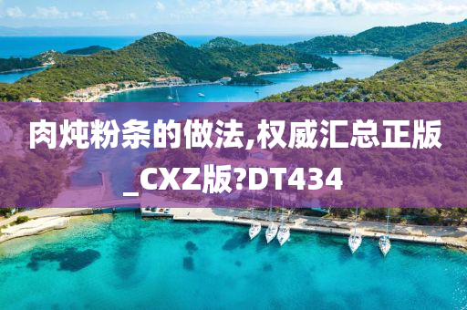 肉炖粉条的做法,权威汇总正版_CXZ版?DT434