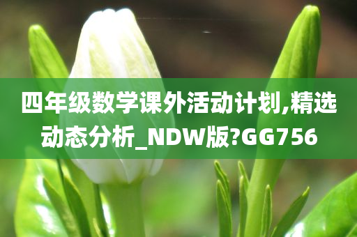 四年级数学课外活动计划,精选动态分析_NDW版?GG756