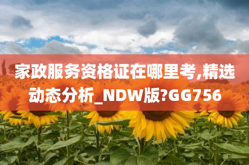 家政服务资格证在哪里考,精选动态分析_NDW版?GG756