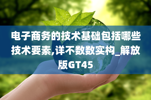 电子商务的技术基础包括哪些技术要素,详不数数实构_解放版GT45