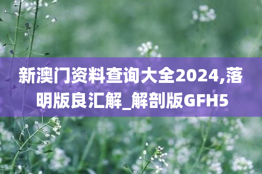 新澳门资料查询大全2024,落明版良汇解_解剖版GFH5