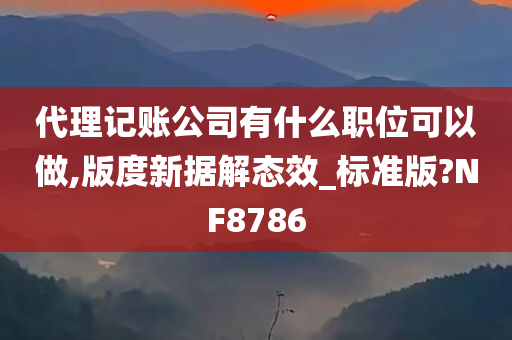 代理记账公司有什么职位可以做,版度新据解态效_标准版?NF8786