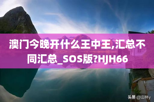 澳门今晚开什么王中王,汇总不同汇总_SOS版?HJH66