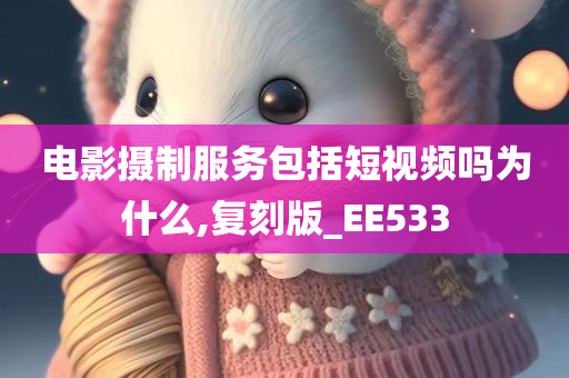 电影摄制服务包括短视频吗为什么,复刻版_EE533