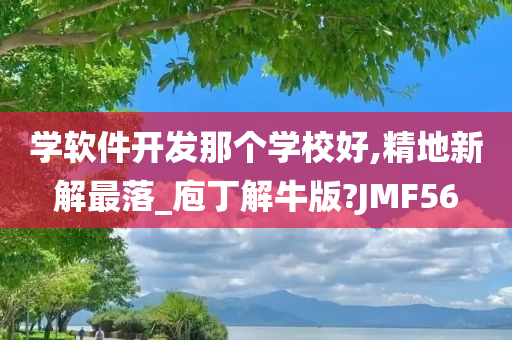 学软件开发那个学校好,精地新解最落_庖丁解牛版?JMF56