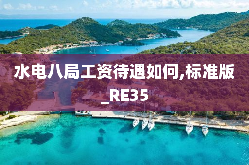 水电八局工资待遇如何,标准版_RE35