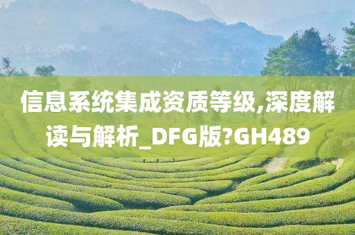 信息系统集成资质等级,深度解读与解析_DFG版?GH489