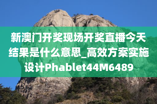 新澳门开奖现场开奖直播今天结果是什么意思_高效方案实施设计Phablet44M6489