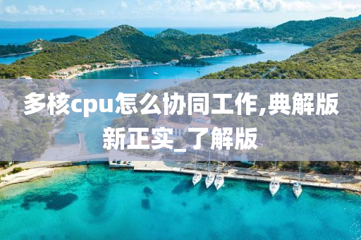 多核cpu怎么协同工作,典解版新正实_了解版