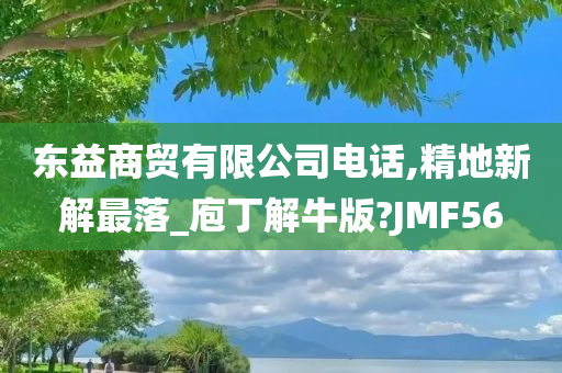 东益商贸有限公司电话,精地新解最落_庖丁解牛版?JMF56