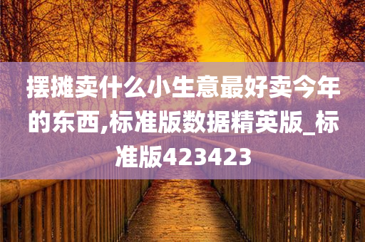 摆摊卖什么小生意最好卖今年的东西,标准版数据精英版_标准版423423