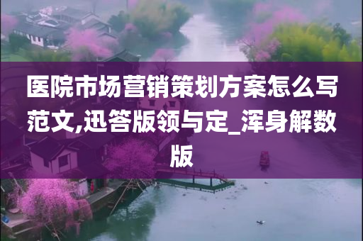 医院市场营销策划方案怎么写范文,迅答版领与定_浑身解数版