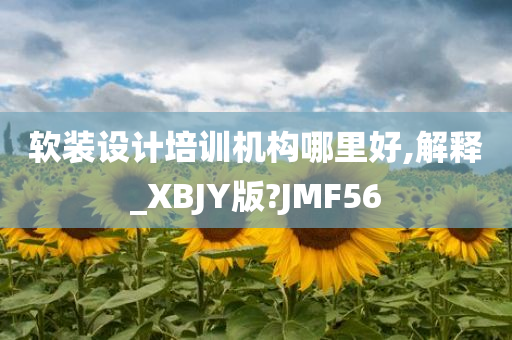 软装设计培训机构哪里好,解释_XBJY版?JMF56