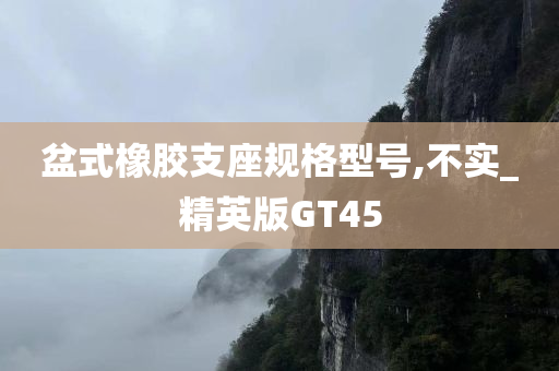 盆式橡胶支座规格型号,不实_精英版GT45