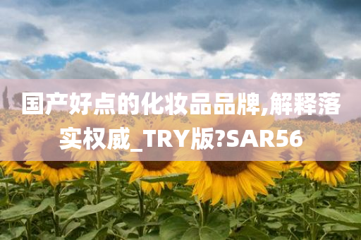 国产好点的化妆品品牌,解释落实权威_TRY版?SAR56