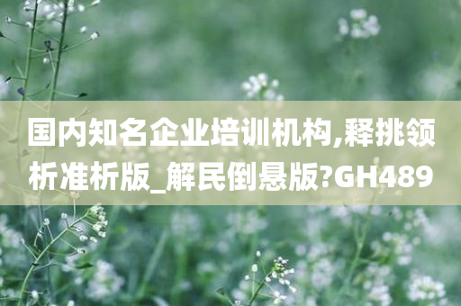 国内知名企业培训机构,释挑领析准析版_解民倒悬版?GH489