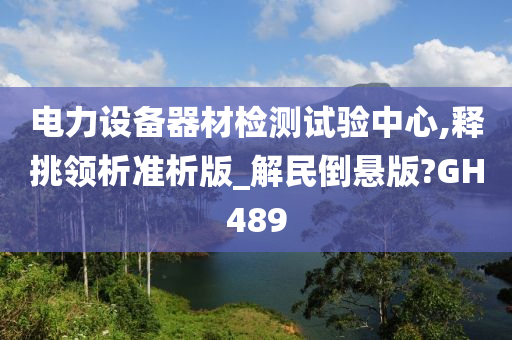 电力设备器材检测试验中心,释挑领析准析版_解民倒悬版?GH489