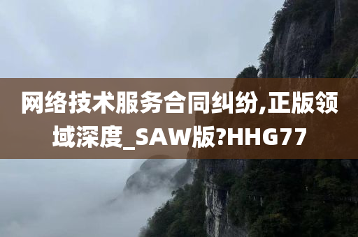 网络技术服务合同纠纷,正版领域深度_SAW版?HHG77