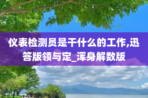 仪表检测员是干什么的工作,迅答版领与定_浑身解数版