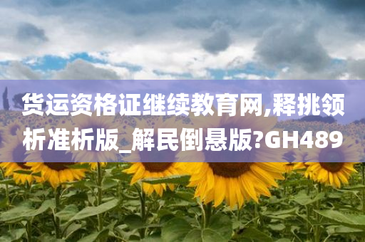 货运资格证继续教育网,释挑领析准析版_解民倒悬版?GH489