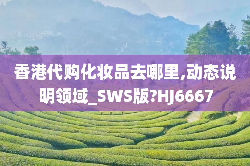 香港代购化妆品去哪里,动态说明领域_SWS版?HJ6667