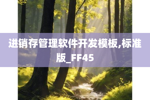 进销存管理软件开发模板,标准版_FF45