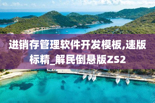 进销存管理软件开发模板,速版标精_解民倒悬版ZS2