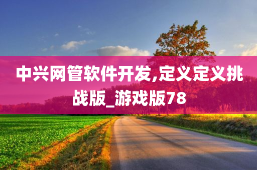 中兴网管软件开发,定义定义挑战版_游戏版78