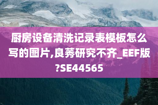 厨房设备清洗记录表模板怎么写的图片,良莠研究不齐_EEF版?SE44565