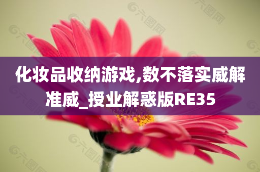 化妆品收纳游戏,数不落实威解准威_授业解惑版RE35