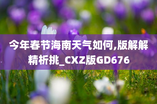 今年春节海南天气如何,版解解精析挑_CXZ版GD676