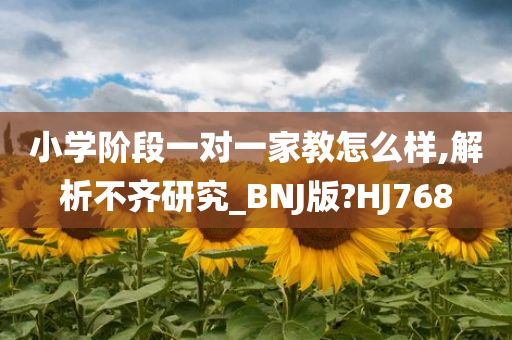 小学阶段一对一家教怎么样,解析不齐研究_BNJ版?HJ768