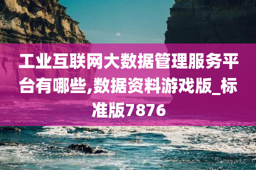 工业互联网大数据管理服务平台有哪些,数据资料游戏版_标准版7876