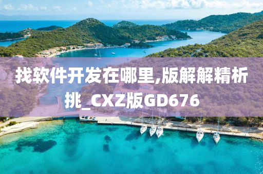 找软件开发在哪里,版解解精析挑_CXZ版GD676